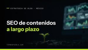 Portada sobre SEO de contenidos a largo plazo: un brote verde creciendo en tierra oscura iluminado por un haz de luz