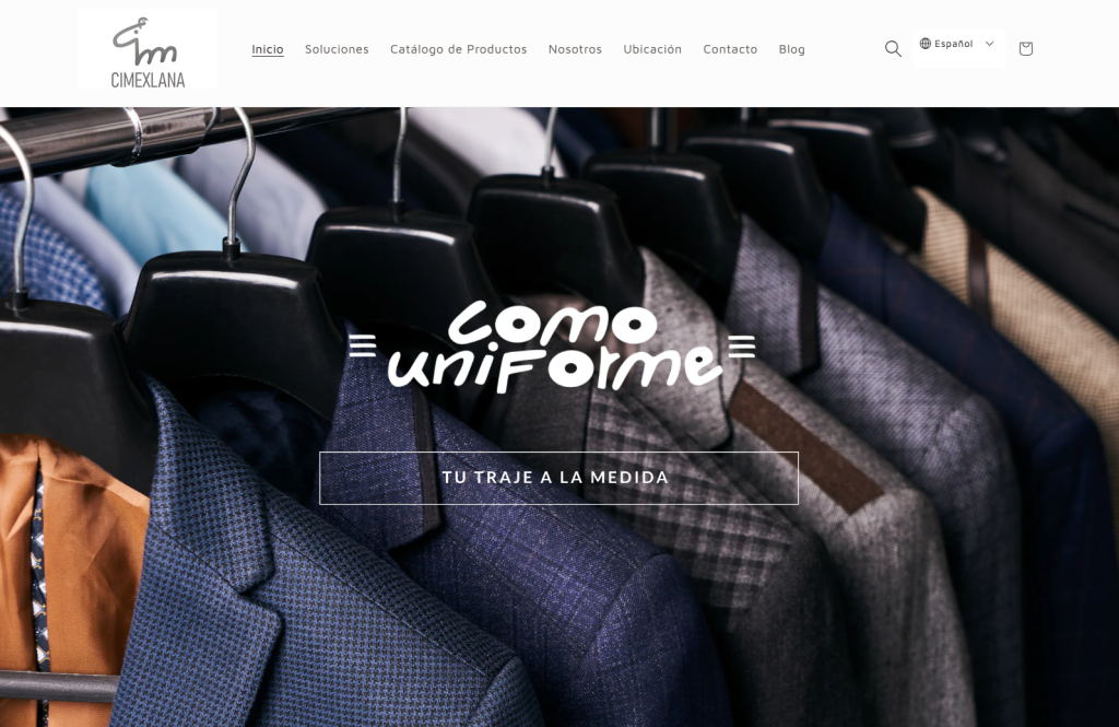 proyectos-web-seo-cimexlana1